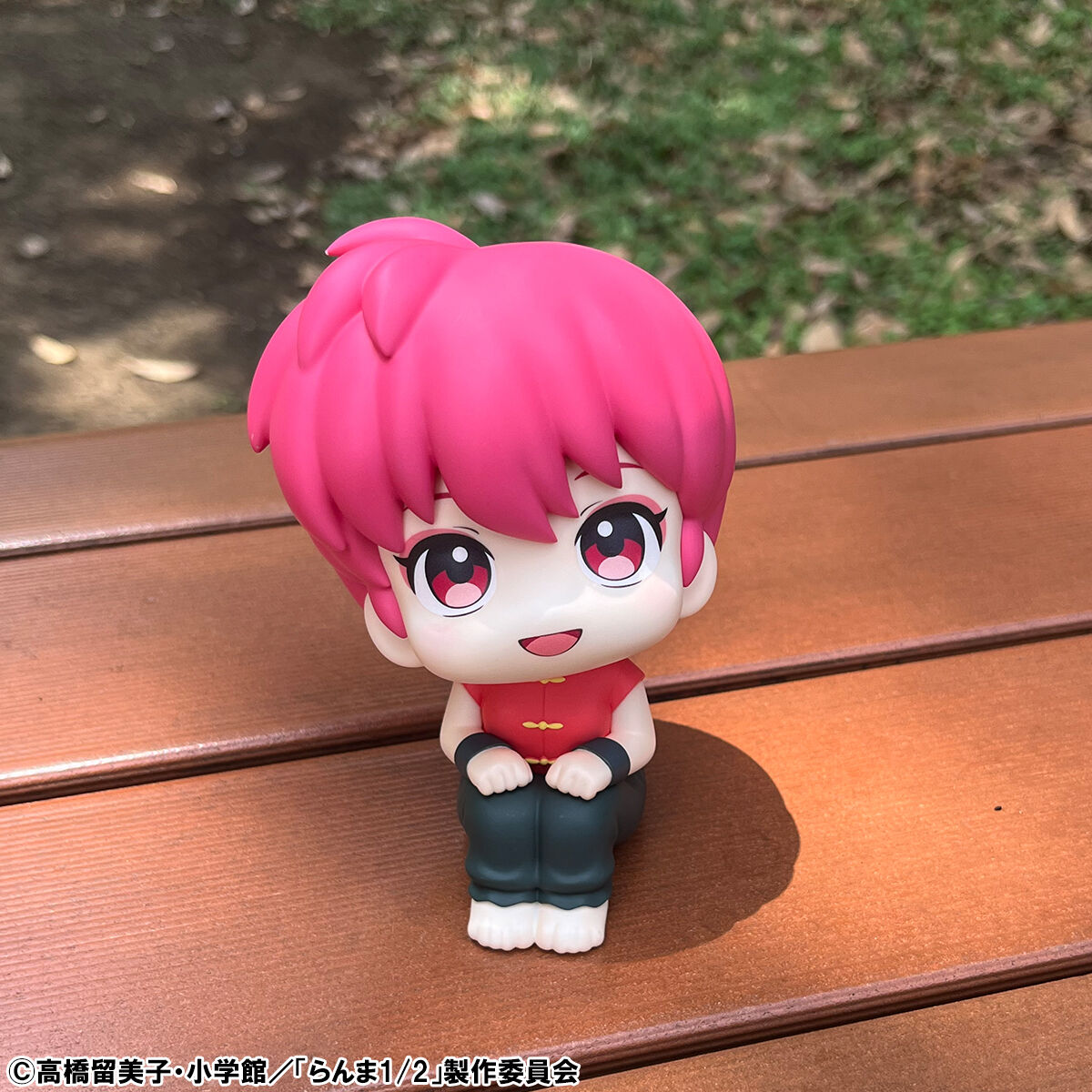 Ranma 1/2 Rukappu (Look Up) - Ranma & Shampoo Set