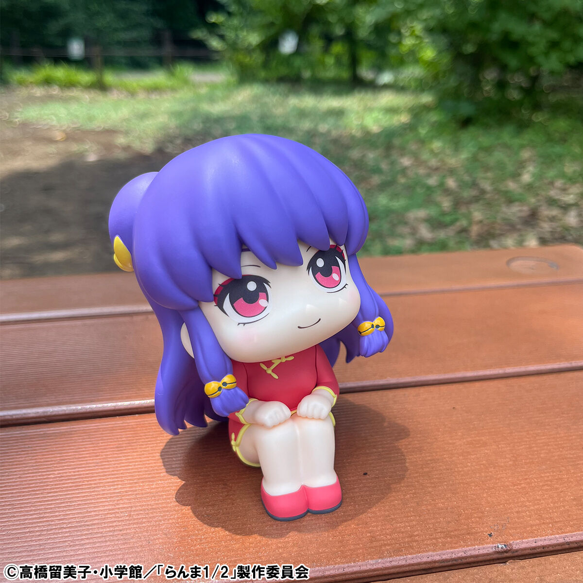 Ranma 1/2 Rukappu (Look Up) - Ranma & Shampoo Set