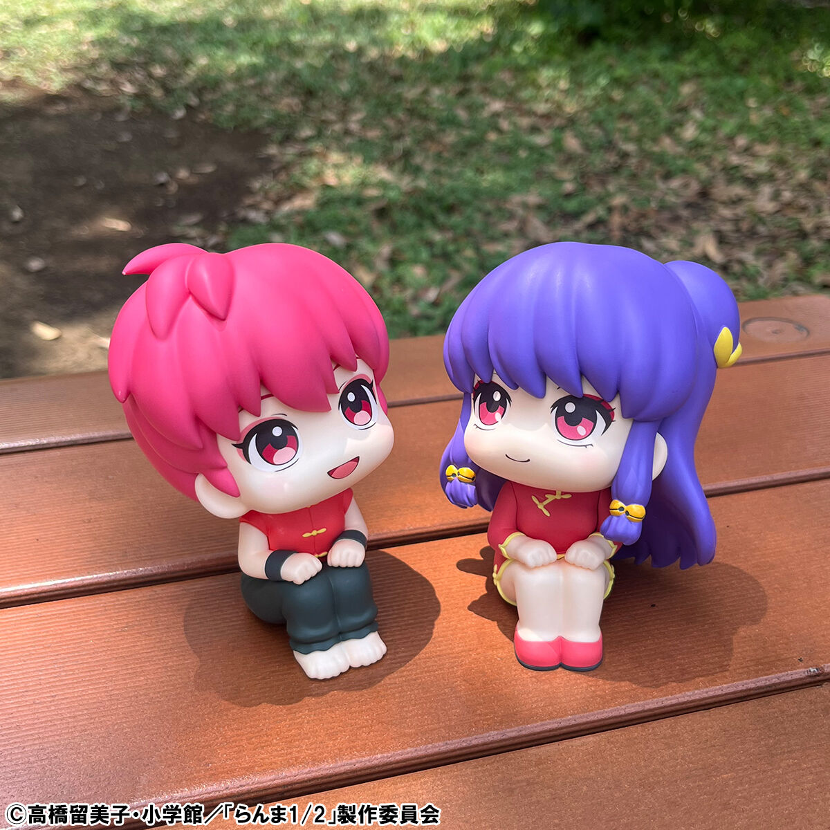 Ranma 1/2 Rukappu (Look Up) - Ranma & Shampoo Set
