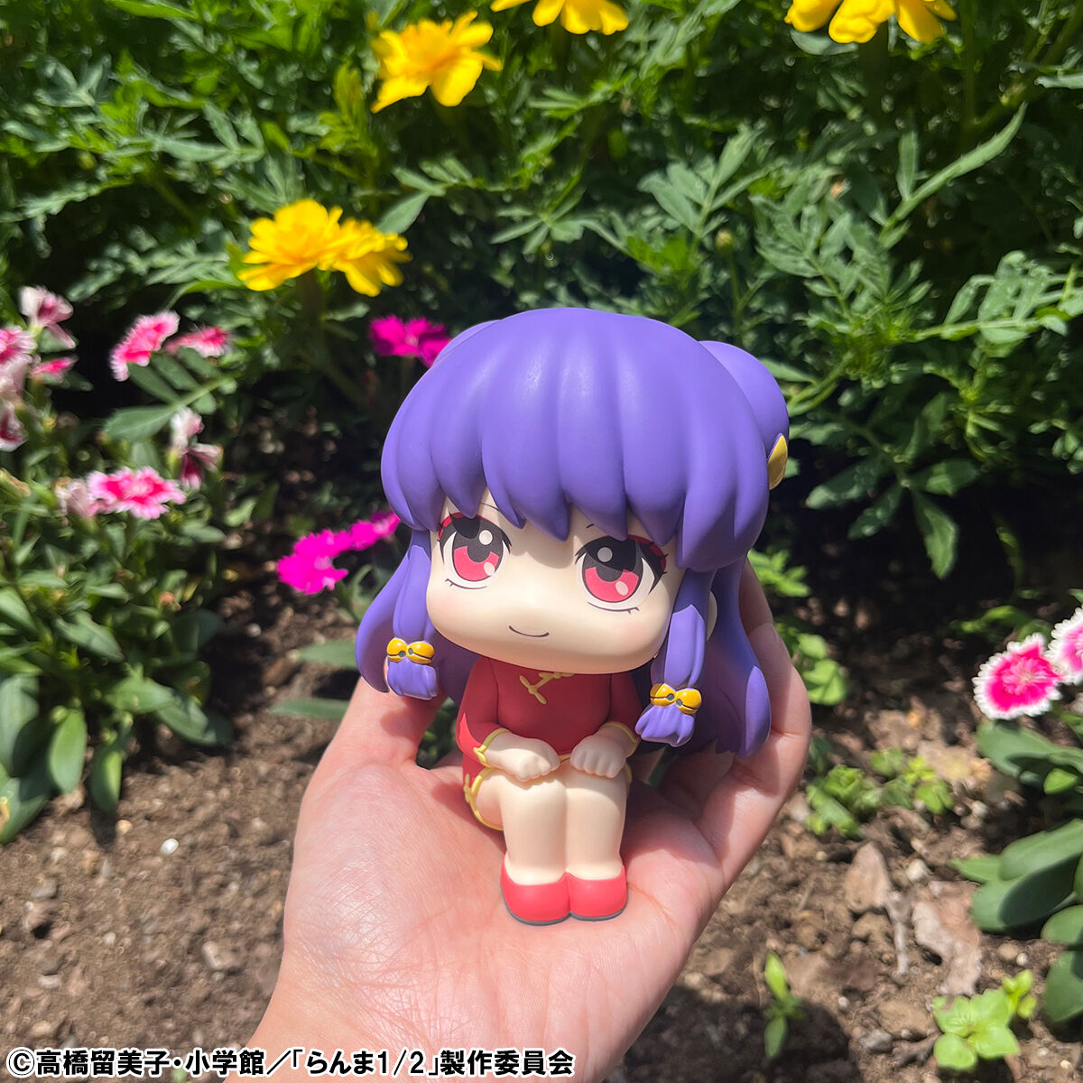 Ranma 1/2 Rukappu (Look Up) - Ranma & Shampoo Set