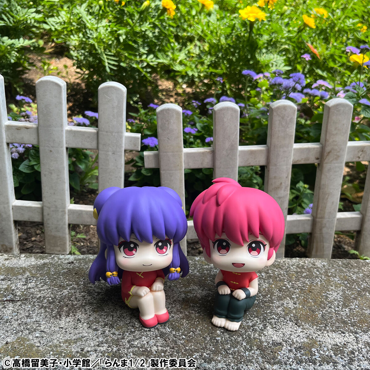 Ranma 1/2 Rukappu (Look Up) - Ranma & Shampoo Set