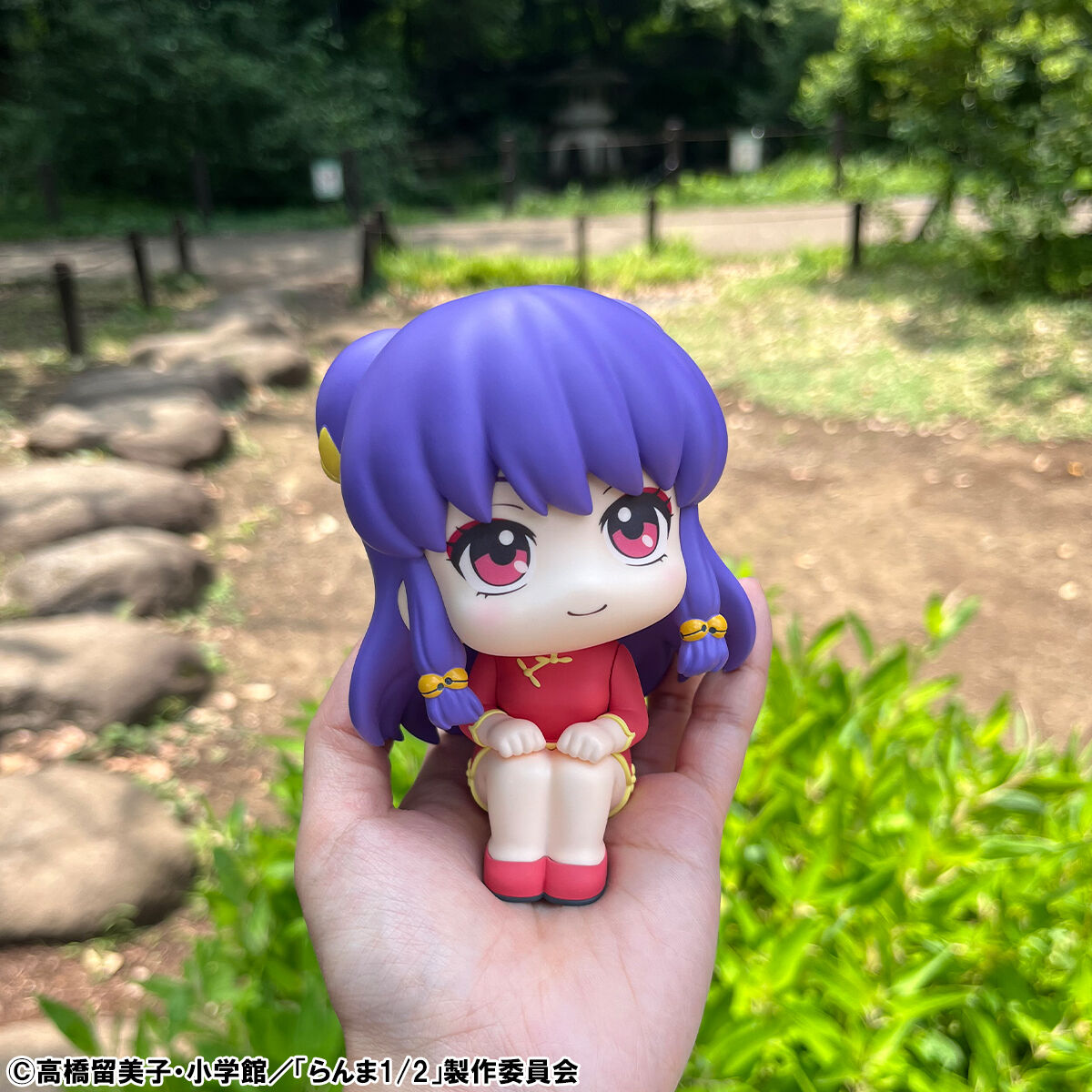 Ranma 1/2 Rukappu (Look Up) - Ranma & Shampoo Set