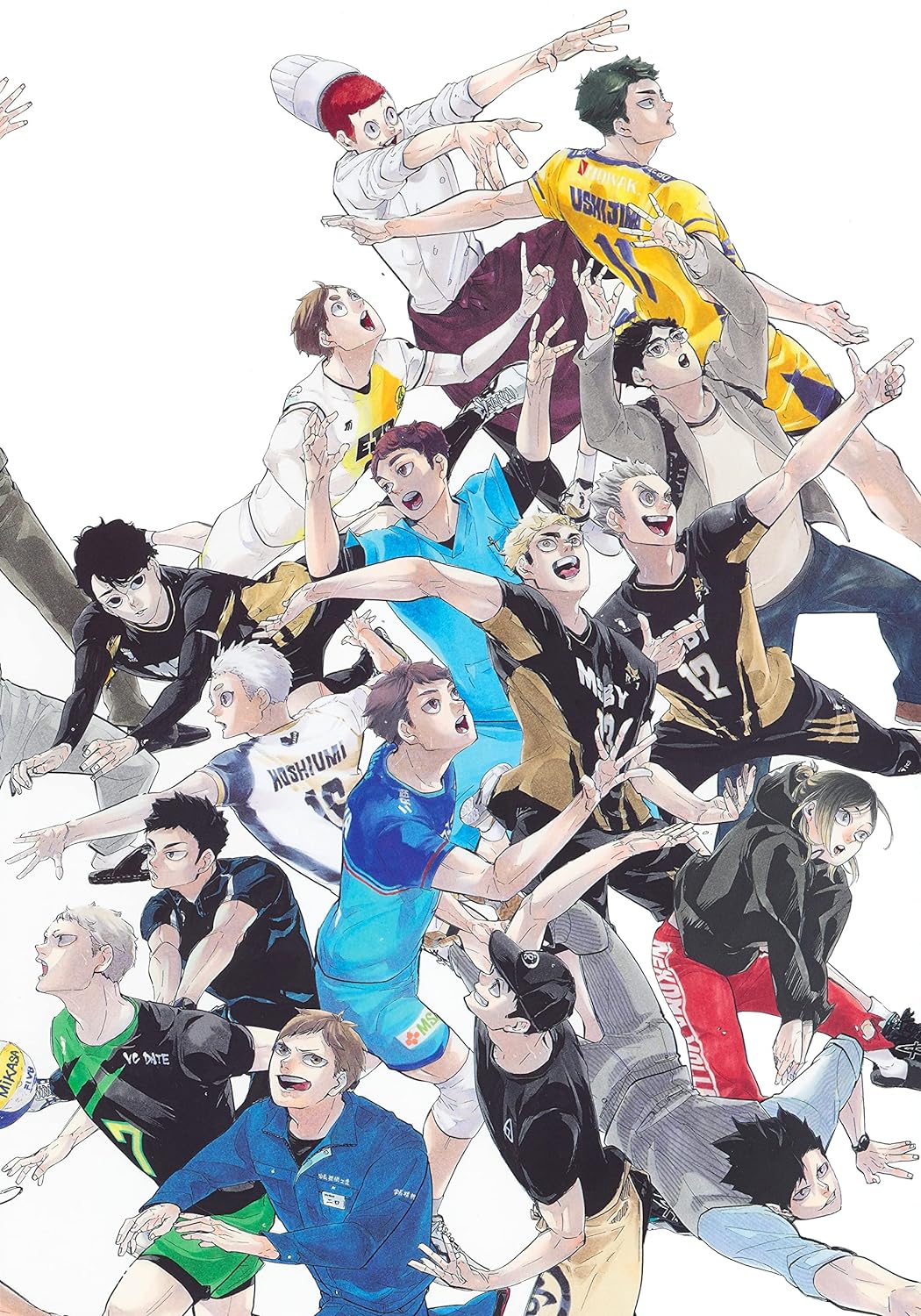 HAIKYU!! 10TH CHRONICLE (COLLECTED EDITION COMICS)