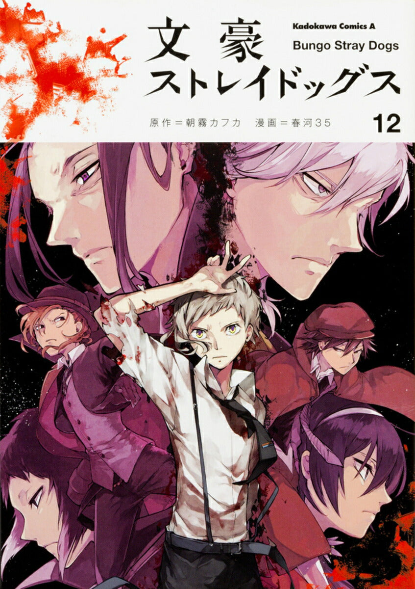 Bungo Stray Dogs - Volume 12 - Japanese Manga – cover