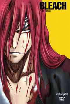 BLEACH Soul Society Sennyu Hen 3 - DVD, Japanese Edition