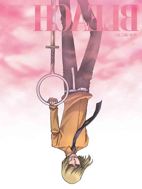 BLEACH Arrancar Metsubo Hen 6 - DVD, Japanese Edition