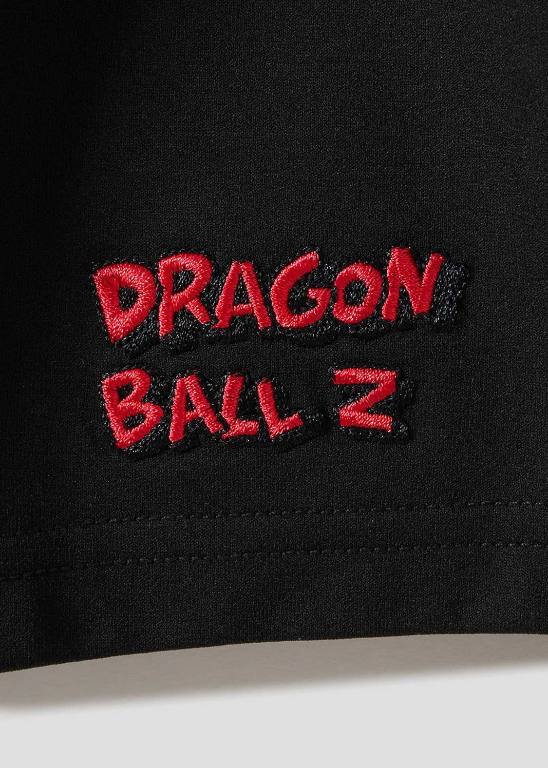 Dragon Ball Z Graniph Collection Collaboration Clothing - Legendary Super Saiyan Kids Dry Big T-shirt and Dry Shorts Set