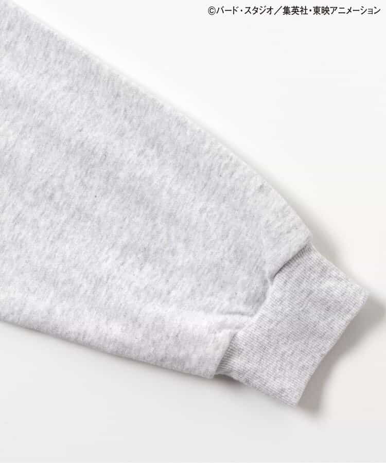 Dragon Ball x BREEZE Fashion Collection - Dragon Ball Collaboration Motif Adult Sweatshirts (2 Types)