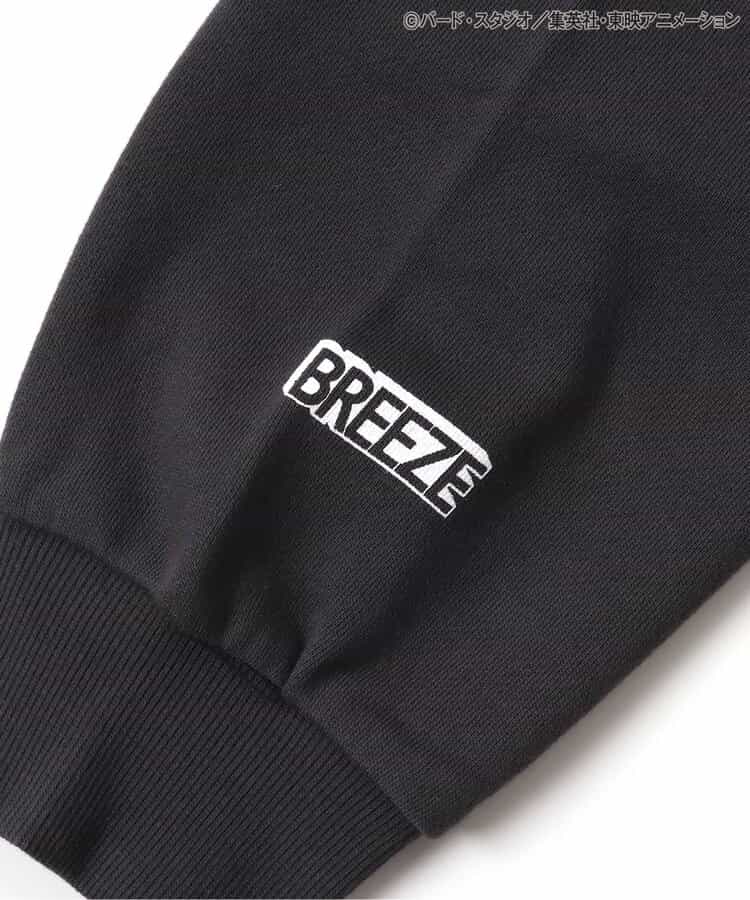 Dragon Ball x BREEZE Fashion Collection - Dragon Ball Collaboration Motif Adult Sweatshirts (2 Types)