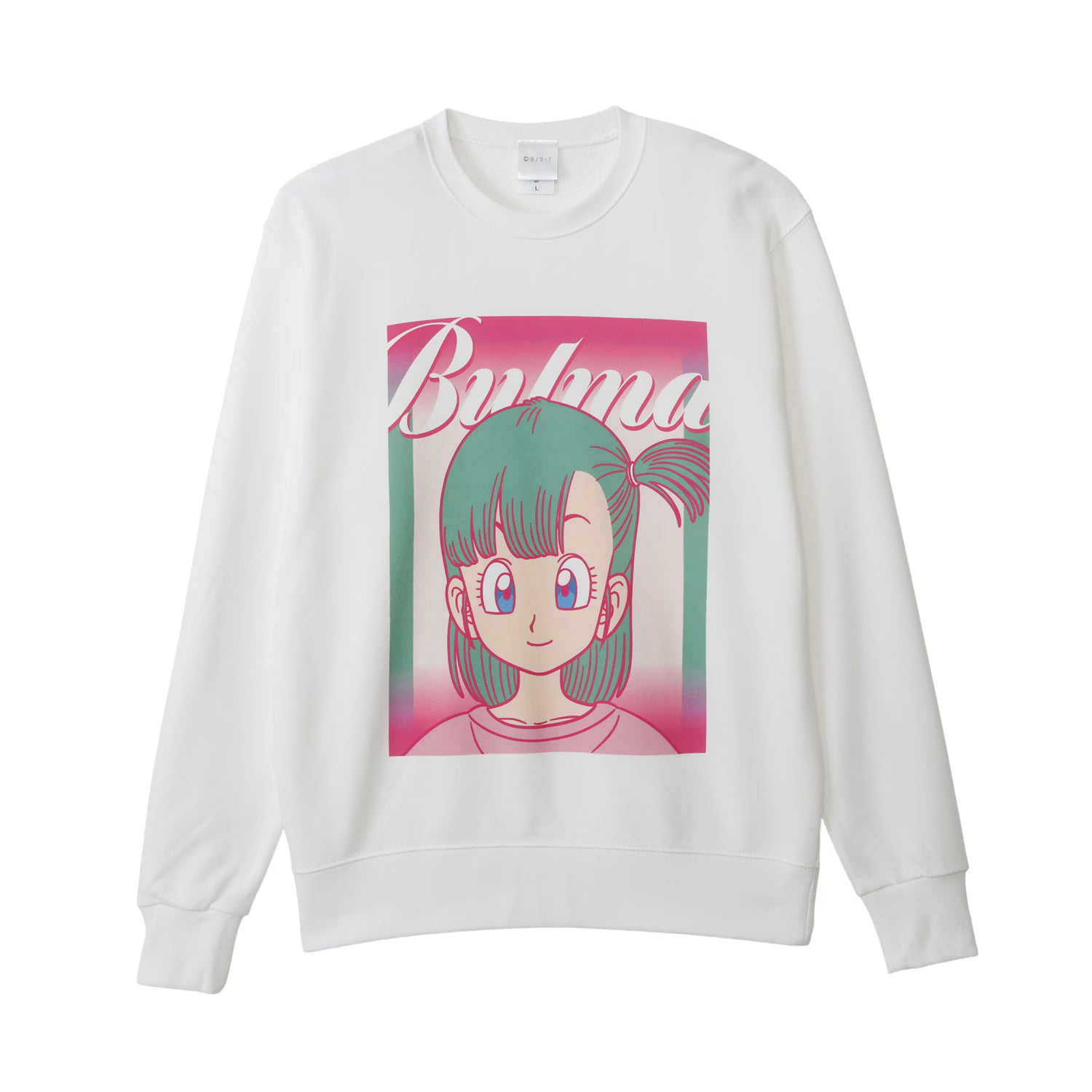 Dragon Ball x Small Planet Collection - Sweatshirt Standard L Size (6 Types)