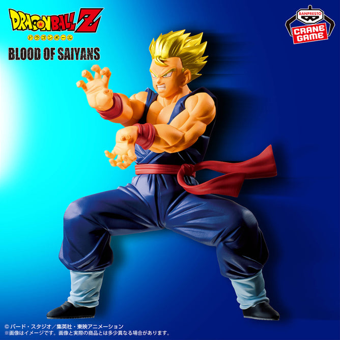 Dragon Ball Z Blood of Saiyans - Son Gohan