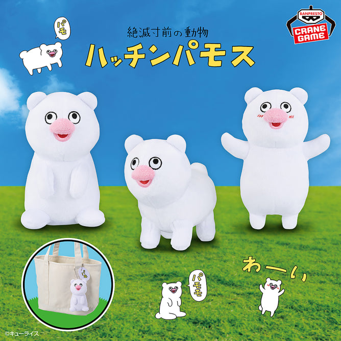 Hatchinpamos, An Endangered Animal Mascot Plush - Hatchinpamos Complete Set of 3 Types