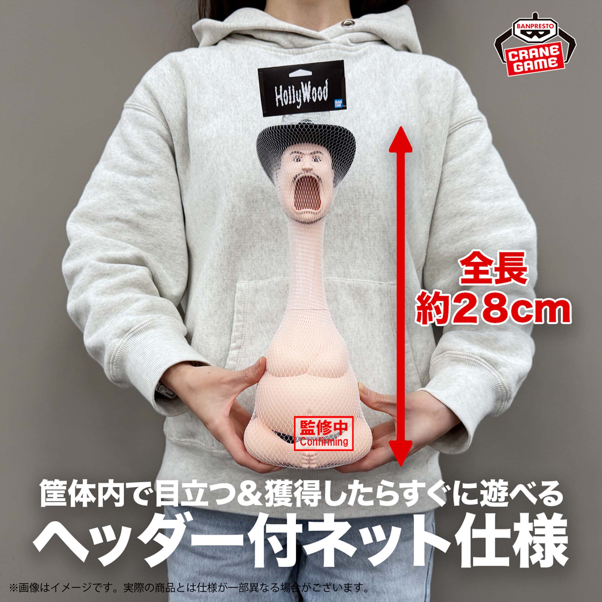 Hollywood Zakoshisho - An Exaggerated Zakoshisho