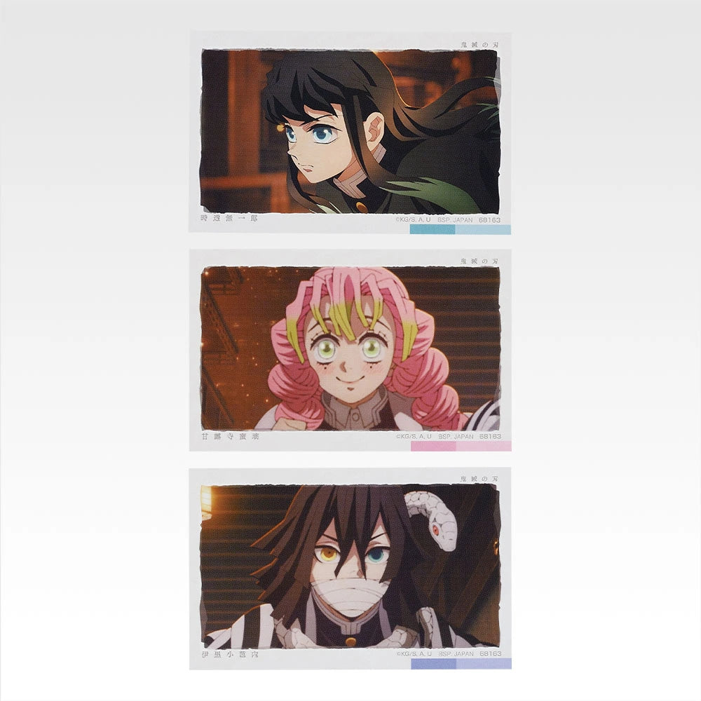 Ichiban Kuji Demon Slayer: Kimetsu no Yaiba Upper Rank Two - G Prize Photo Style Card Set Complete Set of 10 Types