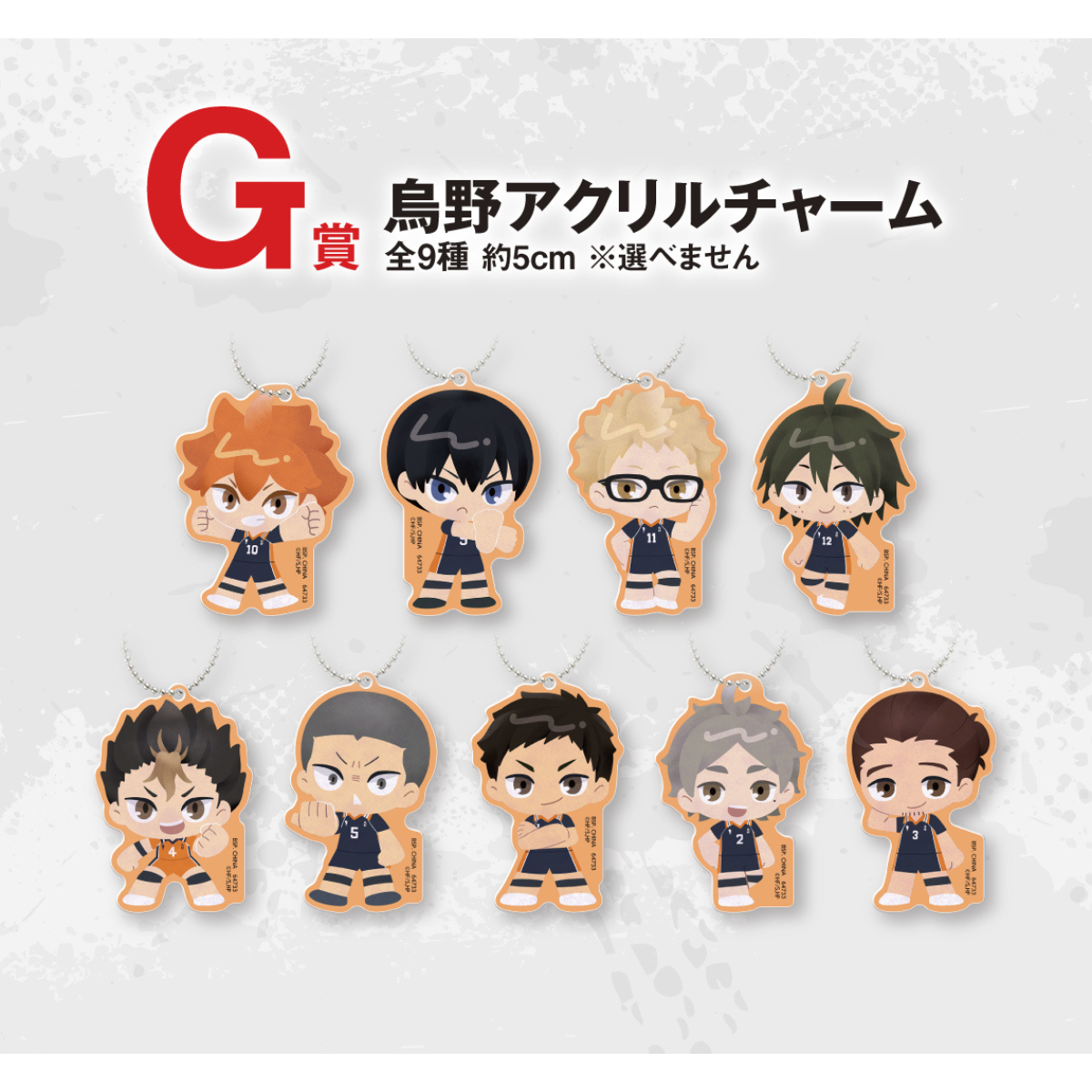 Ichiban Kuji Haikyu!! The Movie Battle at the The Dumpster Battle 2 - G Prize Karasuno Acrylic Charm Complete Set of 9 Types