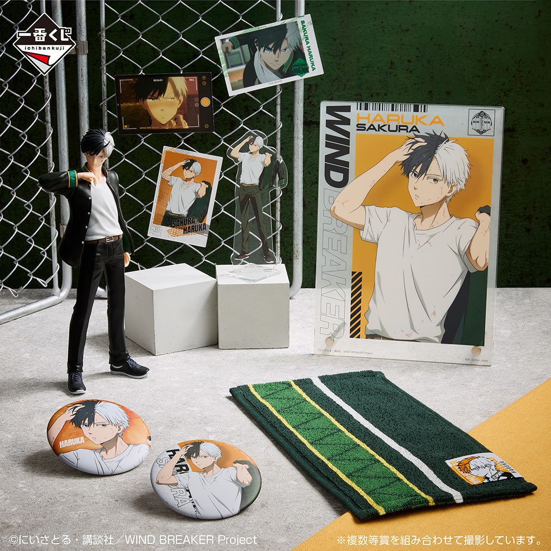 Ichiban Kuji Wind Breaker After the Battle - H Prize Set of 3 photo-style Cards Complete Set of 8 Types
