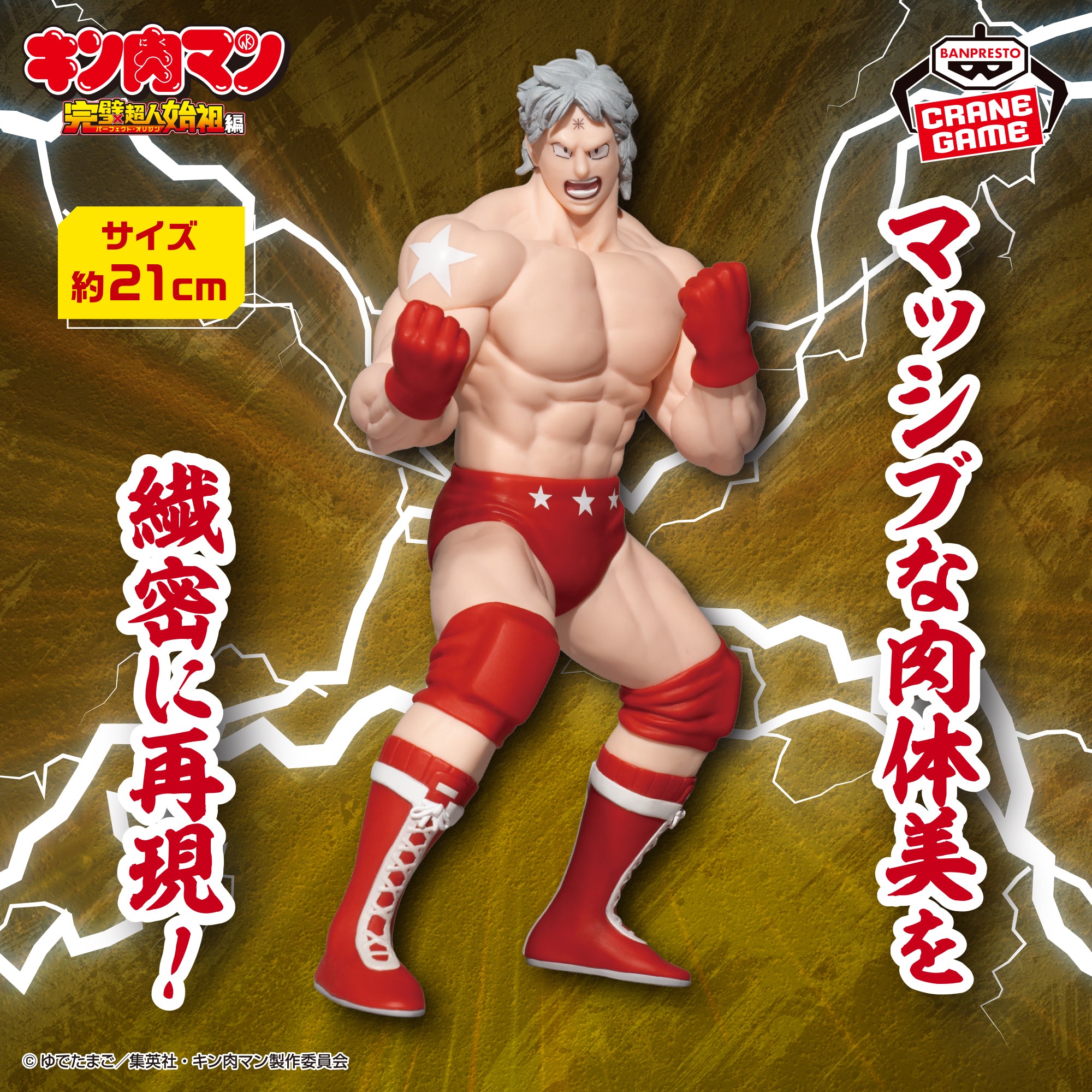 Kinnikuman Perfect Superhuman Ancestor Edition Real Figure - Terryman