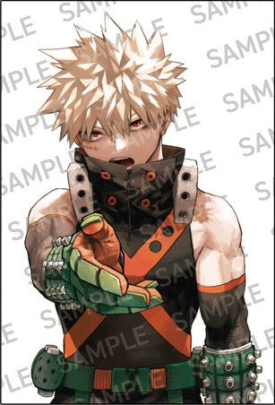 My Hero Academia 42 Final Volume Release Celebration + 3 Bonus Post Card Special Set 3 Types