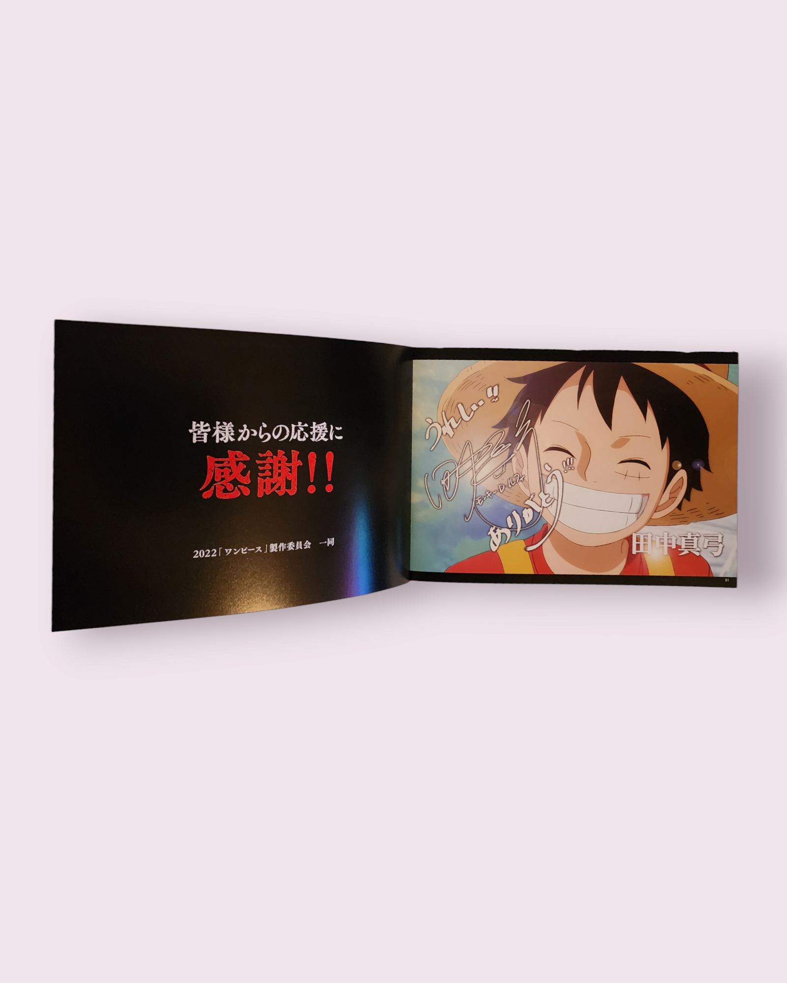 ONE PIECE FILM RED COMMEMORATIVE ENCORE SCREENING - VISUAL BOOK