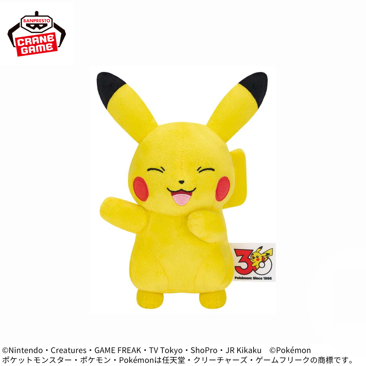 Pokemon Various Face Plushes - Pikachu 30th Anniversary (4 Types)