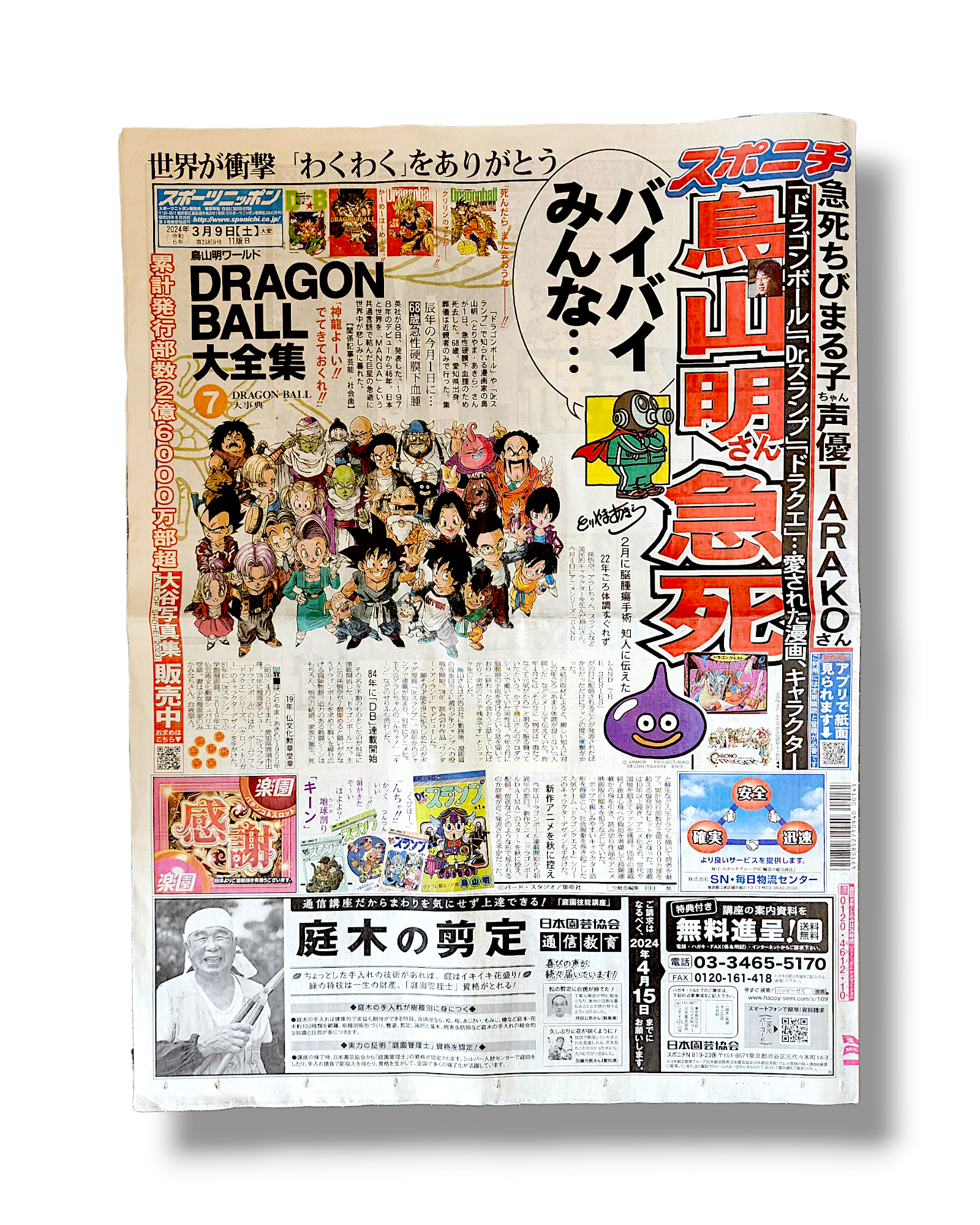 SPONICHI NEWSPAPER - AKIRA TORIYAMA TRIBUTE