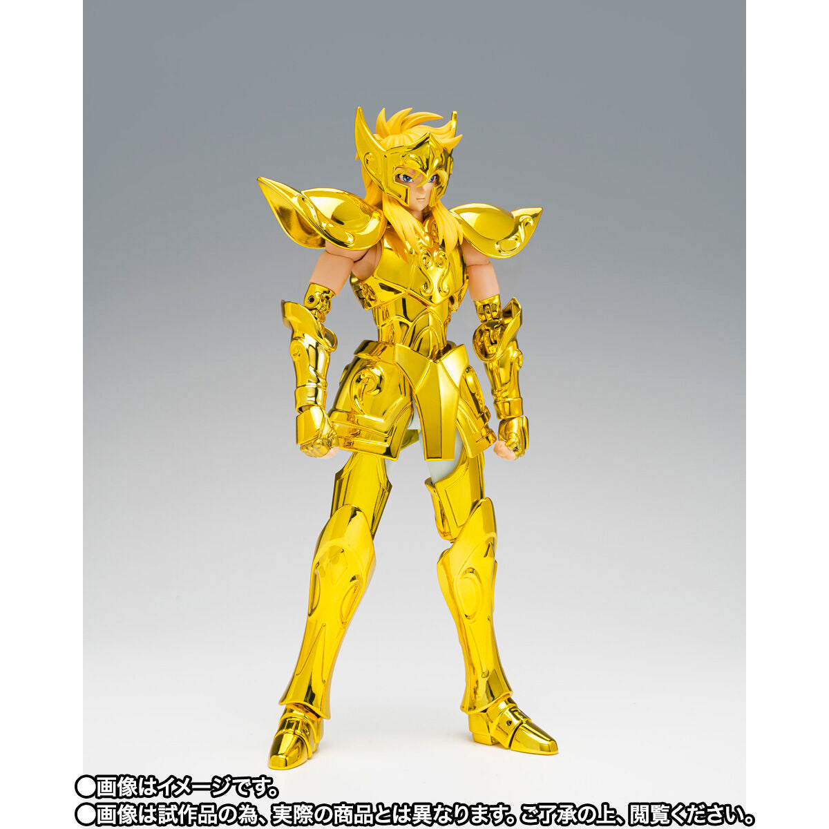 SAINT SEIYA MYTH CLOTH EX - AQUARIUS HYOGA SUCCESSOR OF THE GOLDEN CLOTH