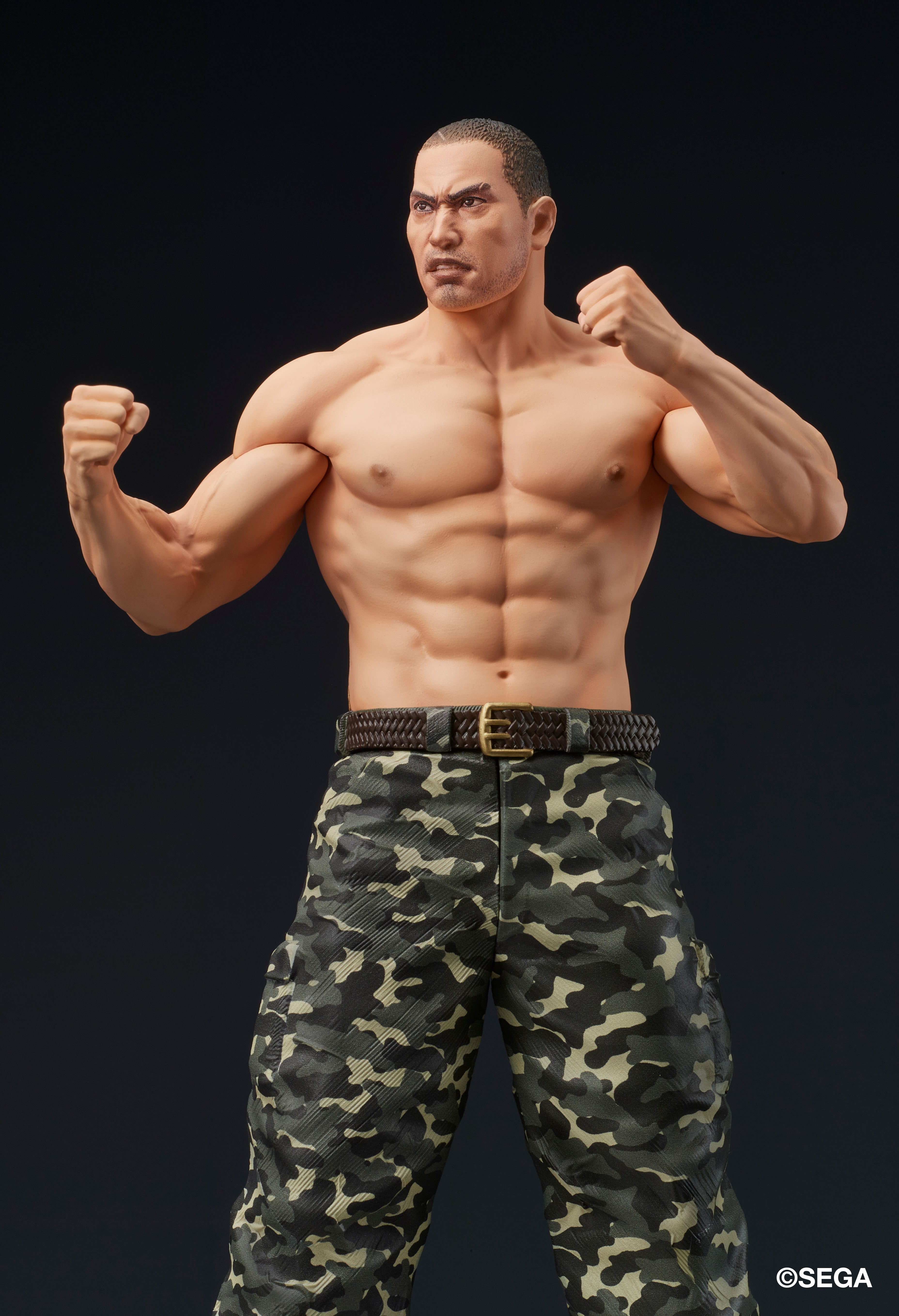 Yakuza: Like a Dragon Digsta - Saejima Taiga Fierce Battle