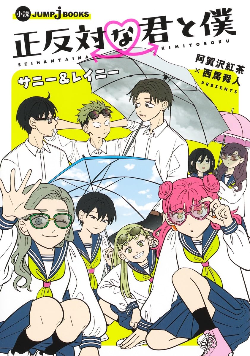 You and I are Polar Opposite - Sunny & Rainy Novel