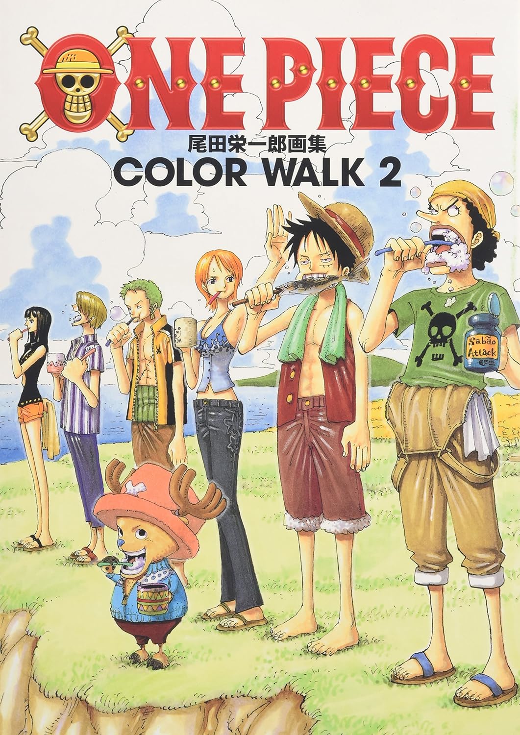 One Piece - Color Walk 2 Artbook