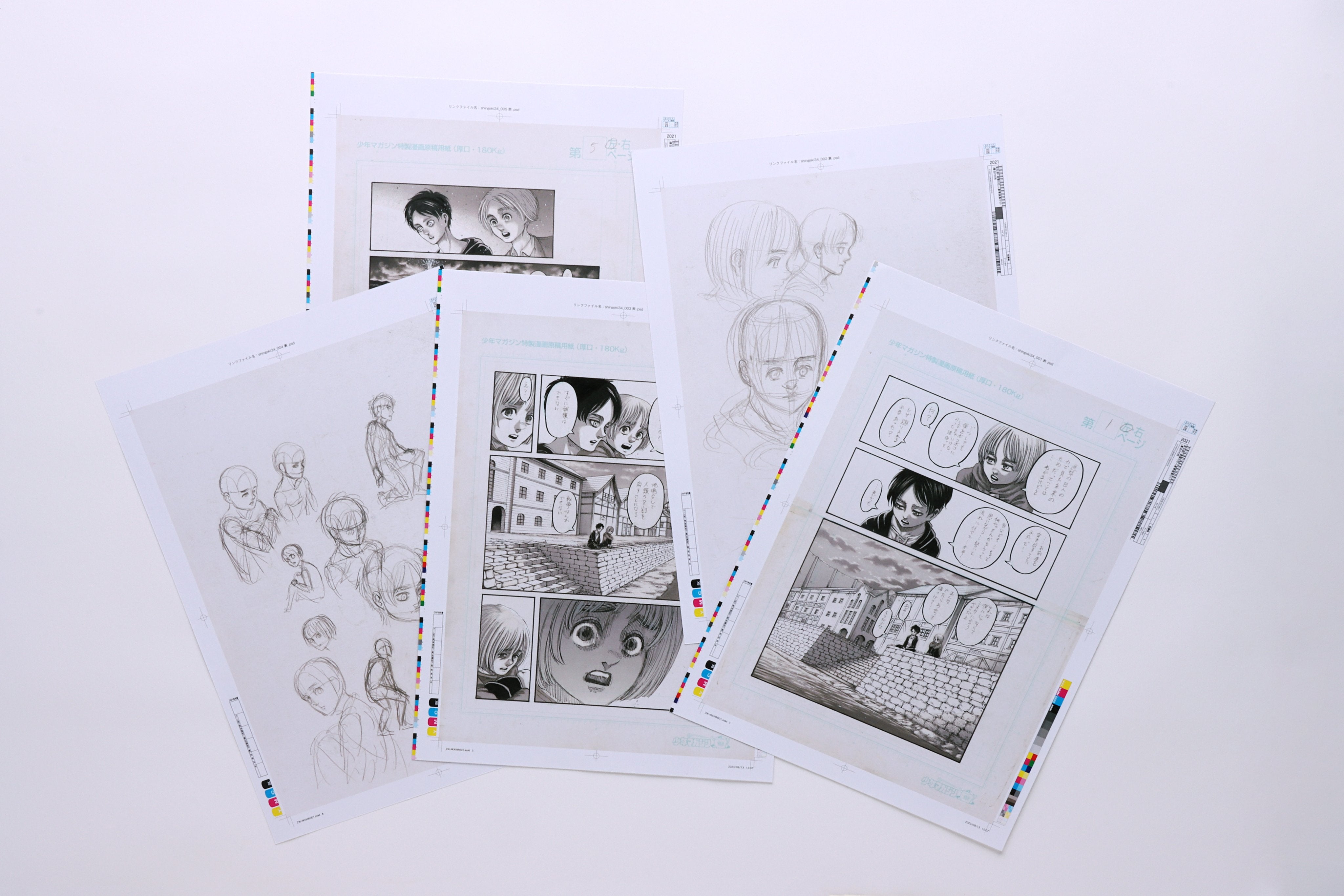 ATTACK ON TITAN ARTBOOK FLY - LIMITED EDITION + BONUS