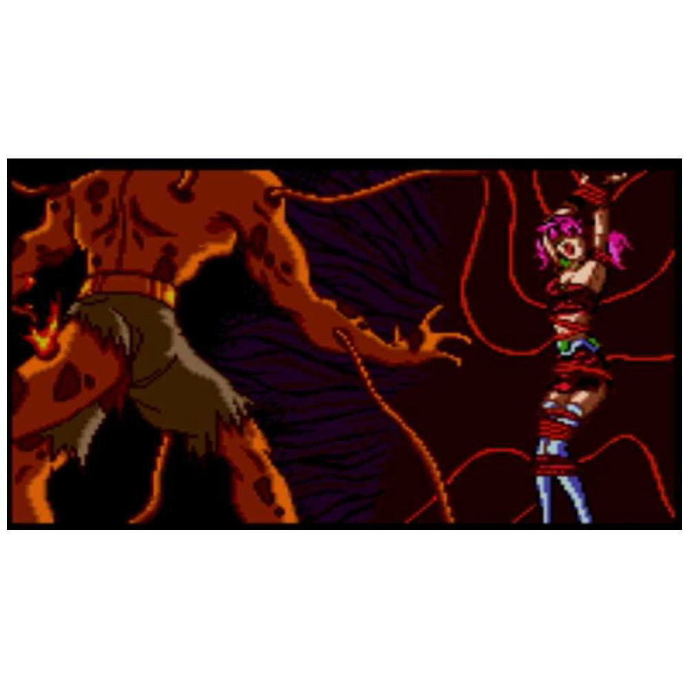 Cosmic Fantasy Collection 2 - Nintendo Switch official image 6