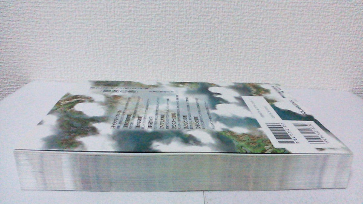 Dragon Quest IV - Official Guidebook (Nintendo DS) - Japanese - publisher preview 2