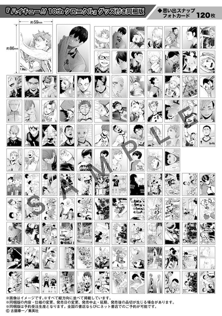 HAIKYŪ!! ARTBOOK - 10TH CHRONICLE - BUNDLED VERSION (GOODIES)