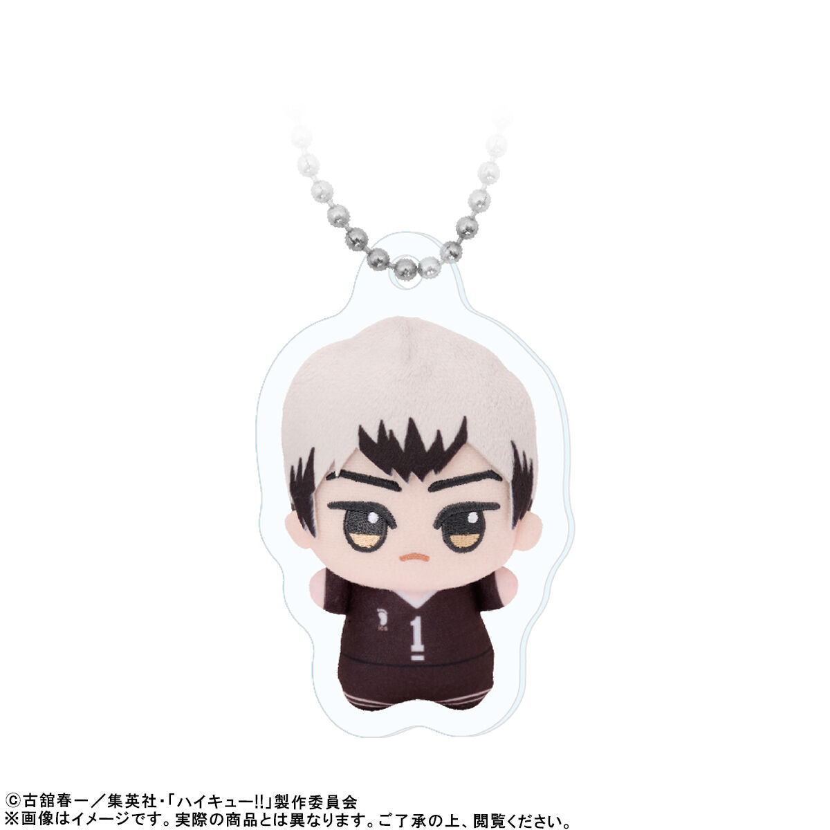 Haikyu!! Chibigurumi Photo Acrylic Keychains Shinsuke Kita