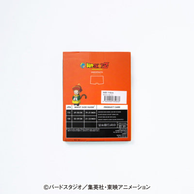 Dragon Ball Z Kids No. 002 Son Gohan Polyester Underwear