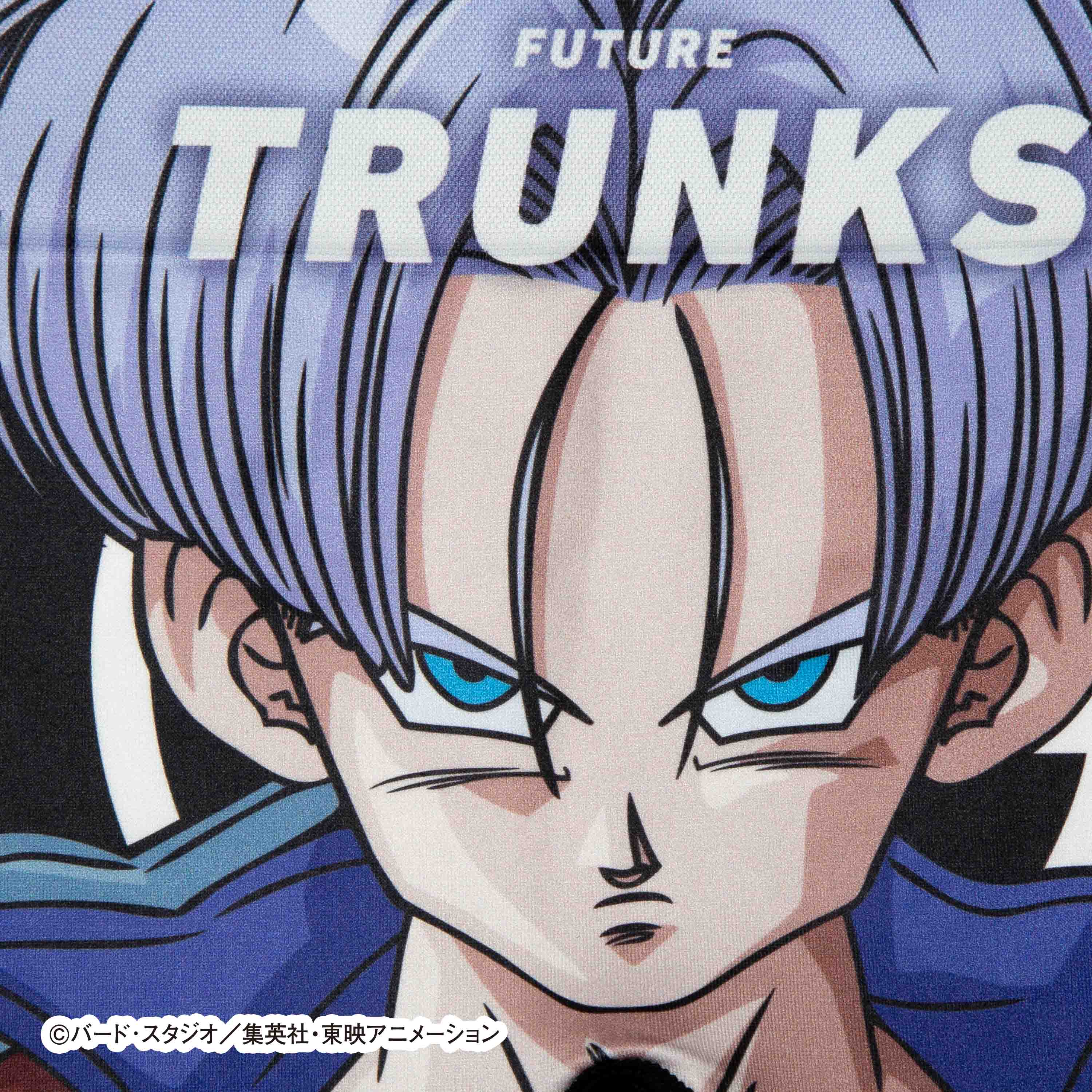 Dragon Ball Z Kids Future Trunks Underwear - Style No. 011, Polyester
