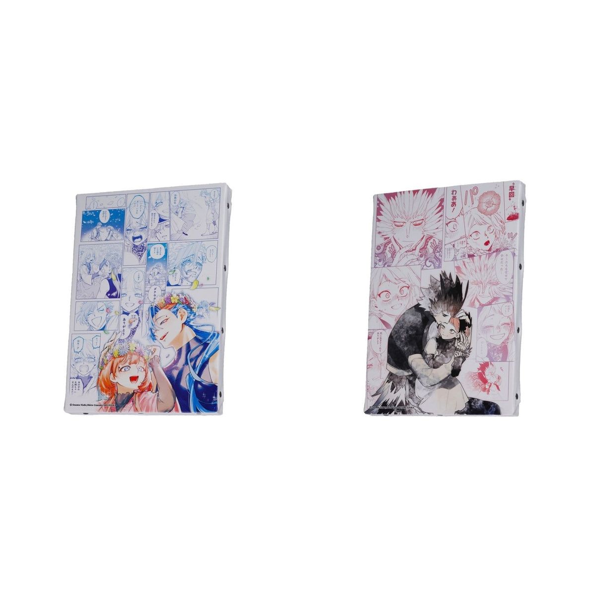 Ichi the Witch MEMORY art boards complete set of two designs