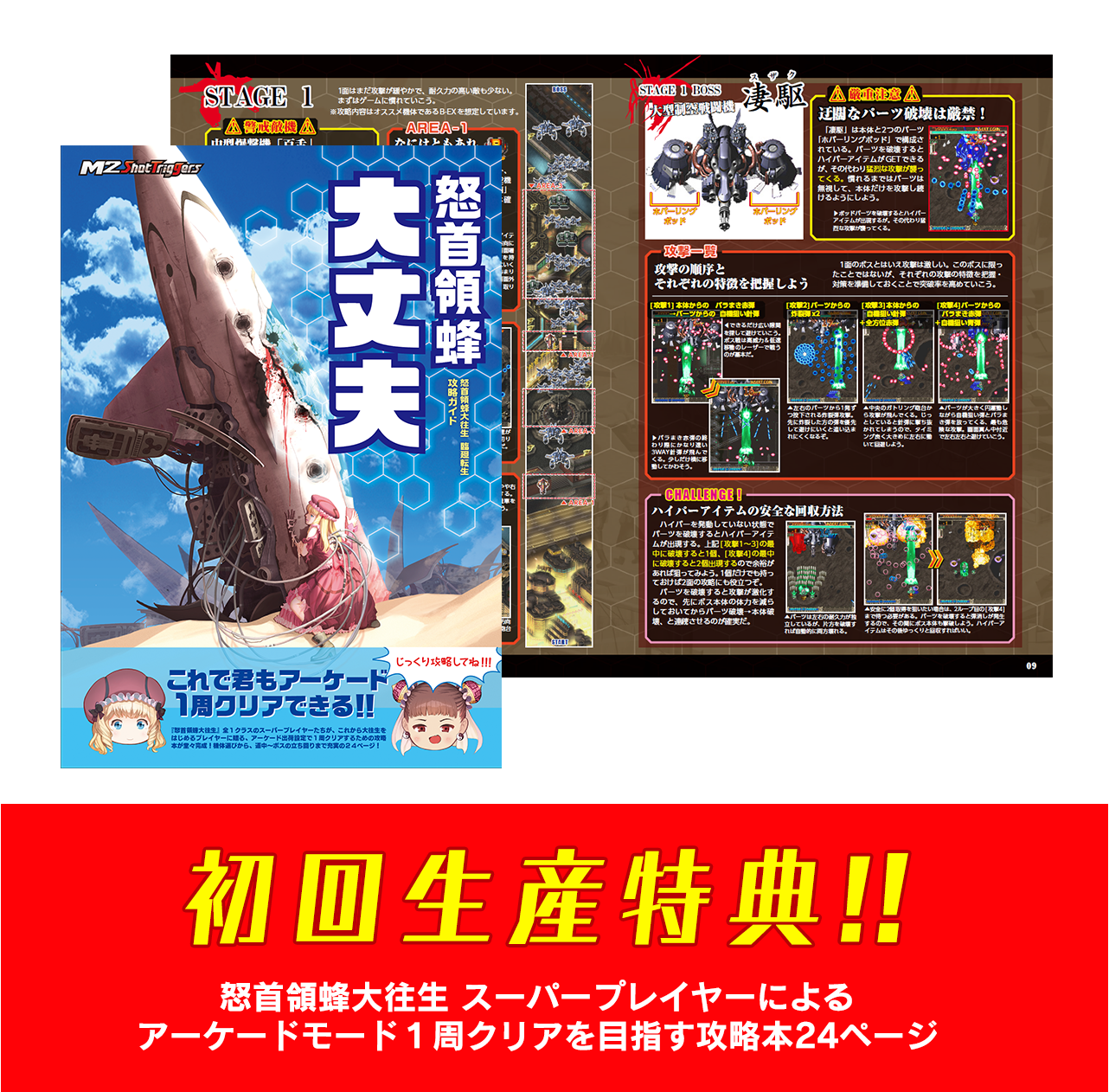 DODONPACHI DAI-OU-JO RINNE TENSEI Blissful Death Re: Incarnation - LIMITED EDITION - SWITCH VERSION