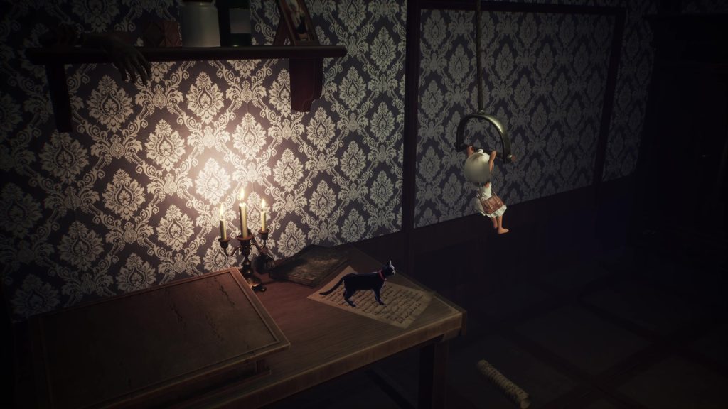 LIGHT: Black Cat & Amnesia Girl Limited Edition official visual 7