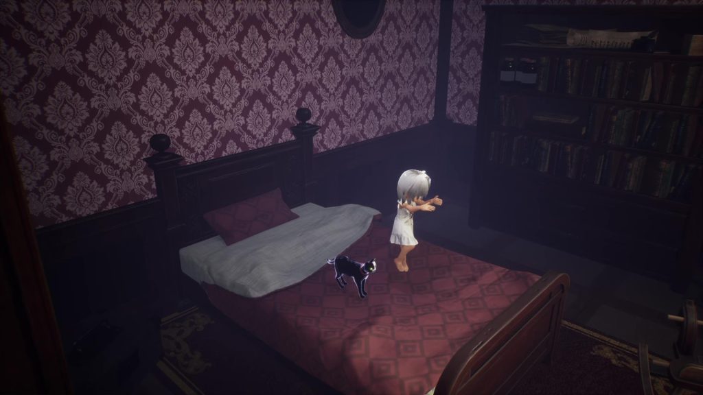 LIGHT: Black Cat & Amnesia Girl Limited Edition official visual 6