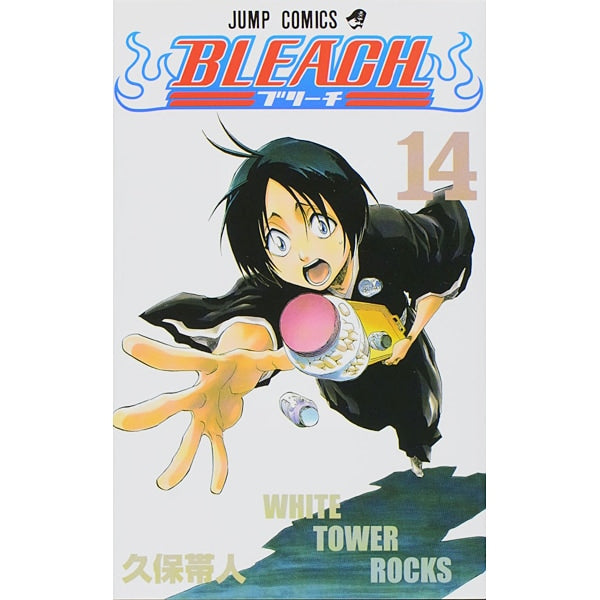 Bleach Volume 14 Japanese manga cover