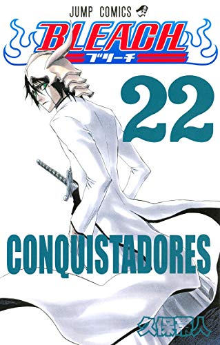 Bleach Volume 22 Japanese manga cover