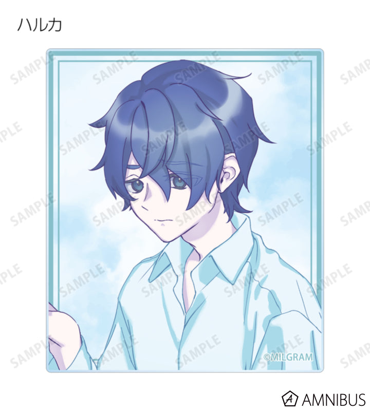 MILGRAM Trading Acrylic Cards Sea Breeze Footprints Ver. BOX of 12 - official product view 4