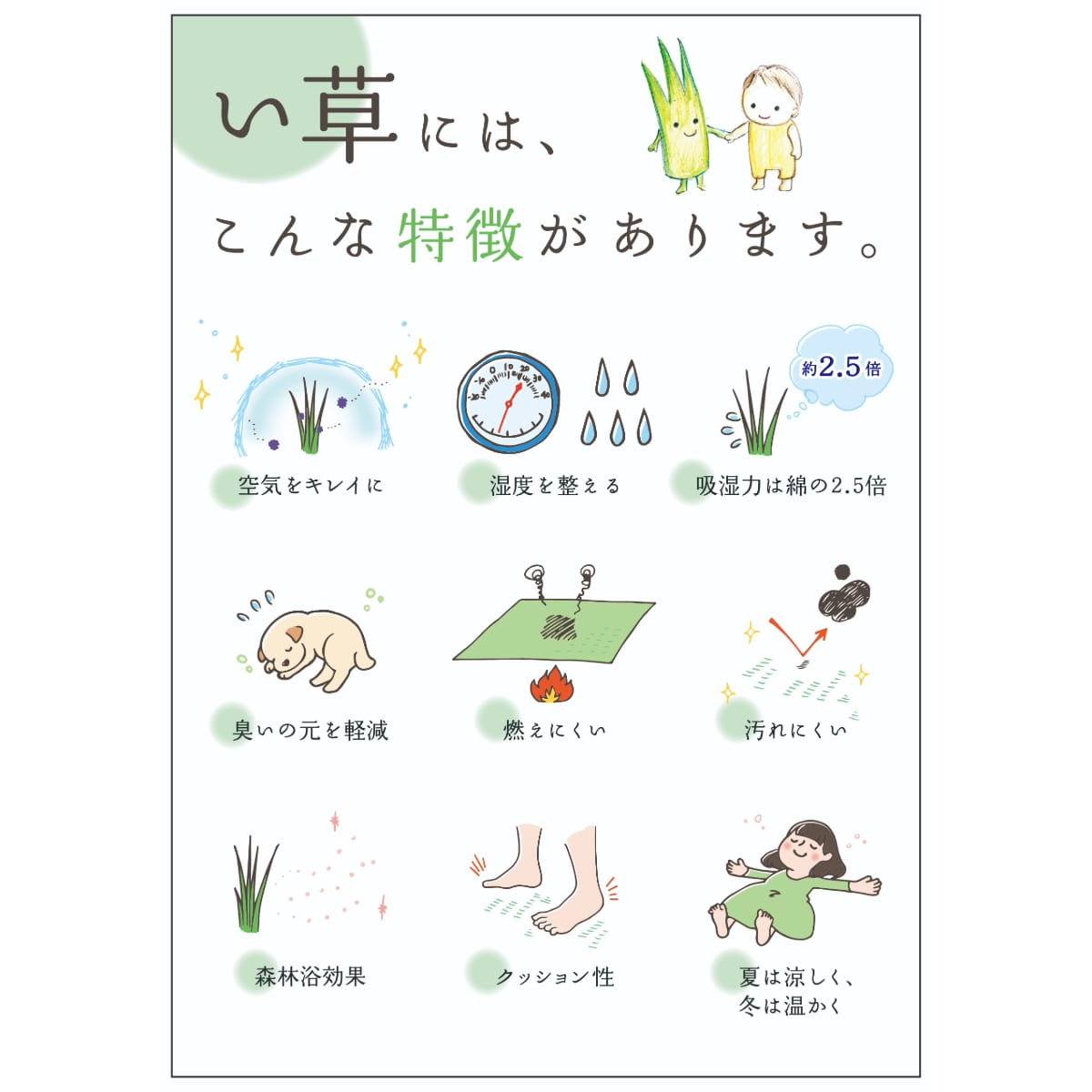 My Neighbor Totoro Wagokoro Igusa Rectangular Rug - official view 8