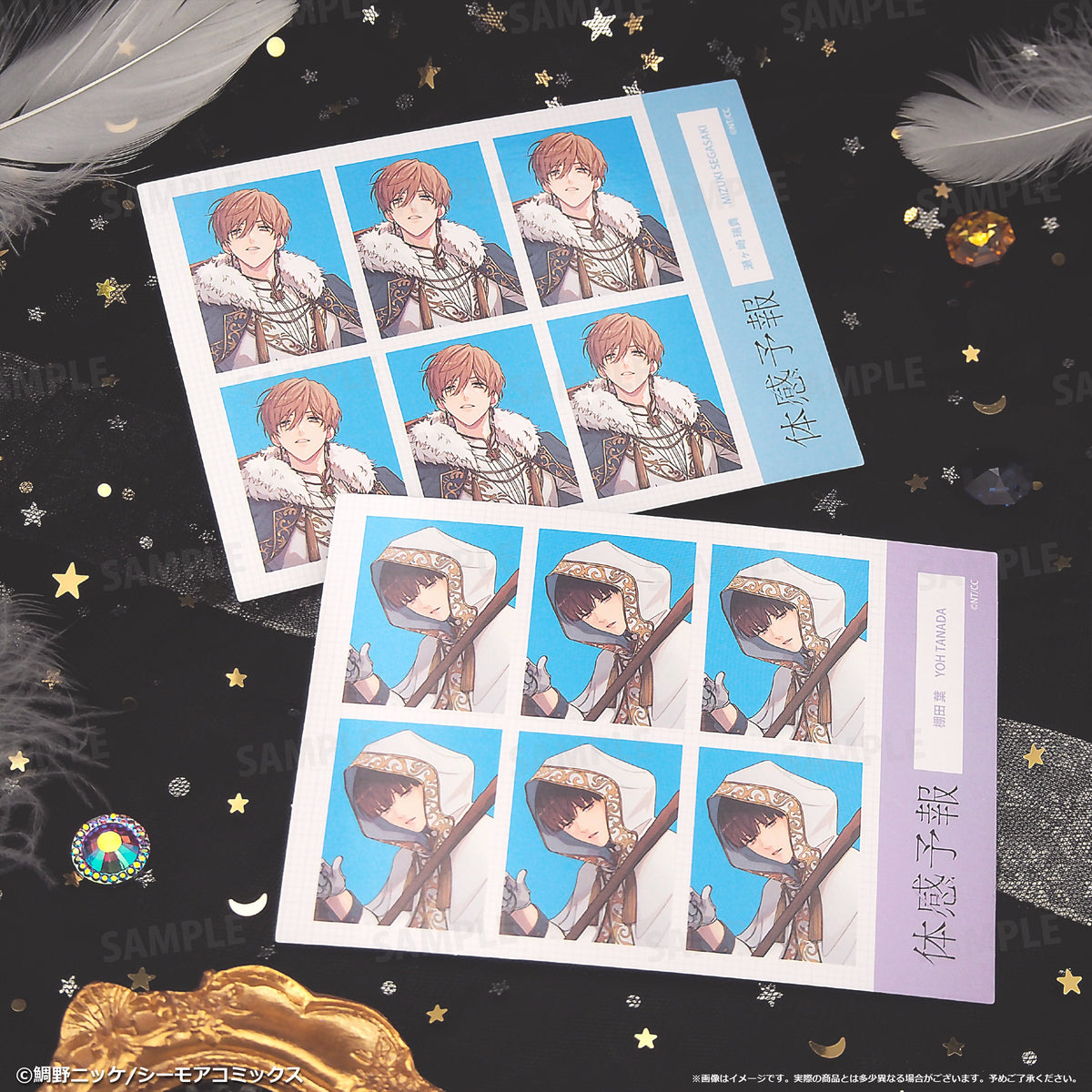 My Personal Weatherman Arcana ID photo-style bromide set, two sheets