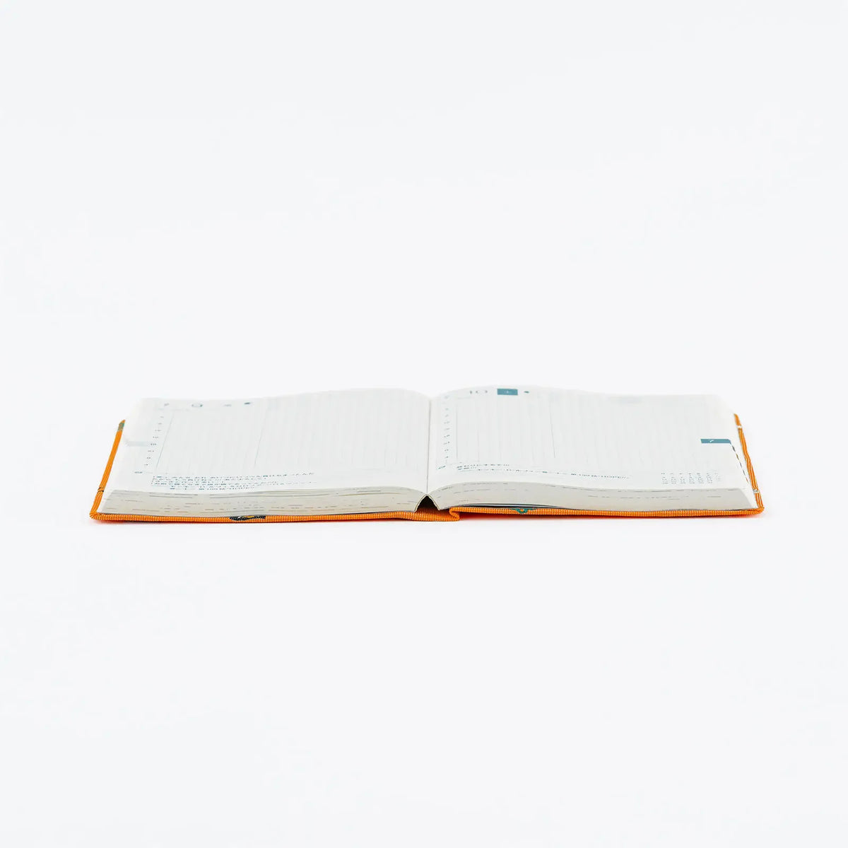 One Piece A6 - Very Very Merry! 2027 HON Daily Planner - official product view 13