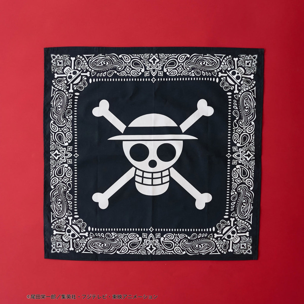 One Piece Black Printed Bandana