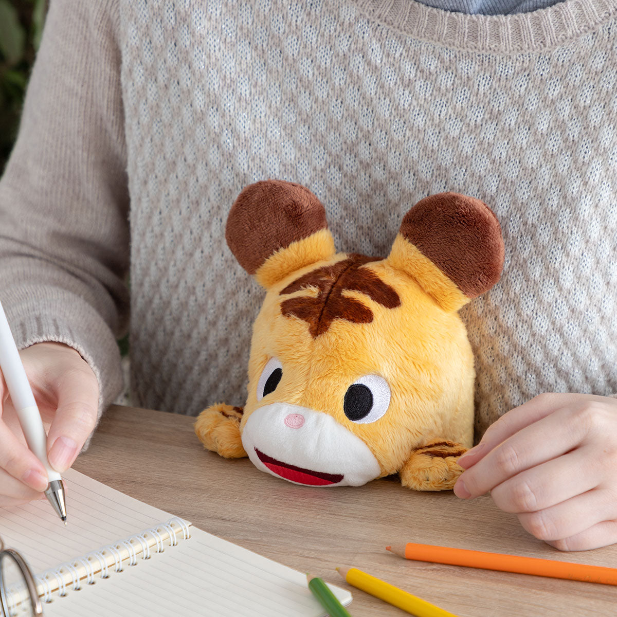 Panda! Go Panda! Funbaruzu Desk Plush (2 Types) - Tora-chan - official view 19