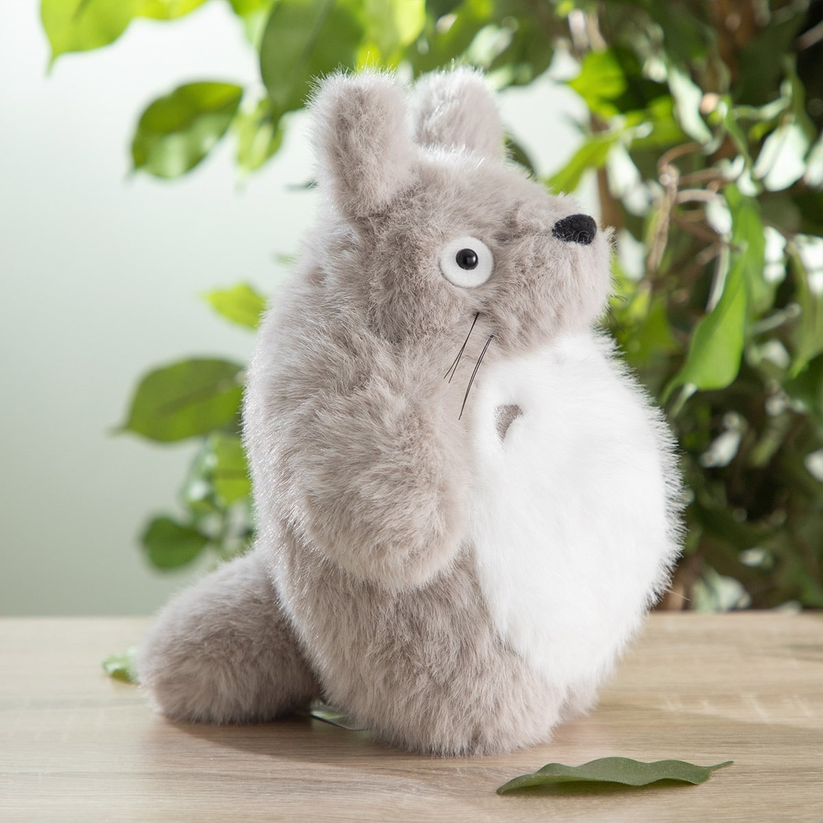 Studio Ghibli - Komorebi Plush Collection (6 Types) - Totoro - official view 2