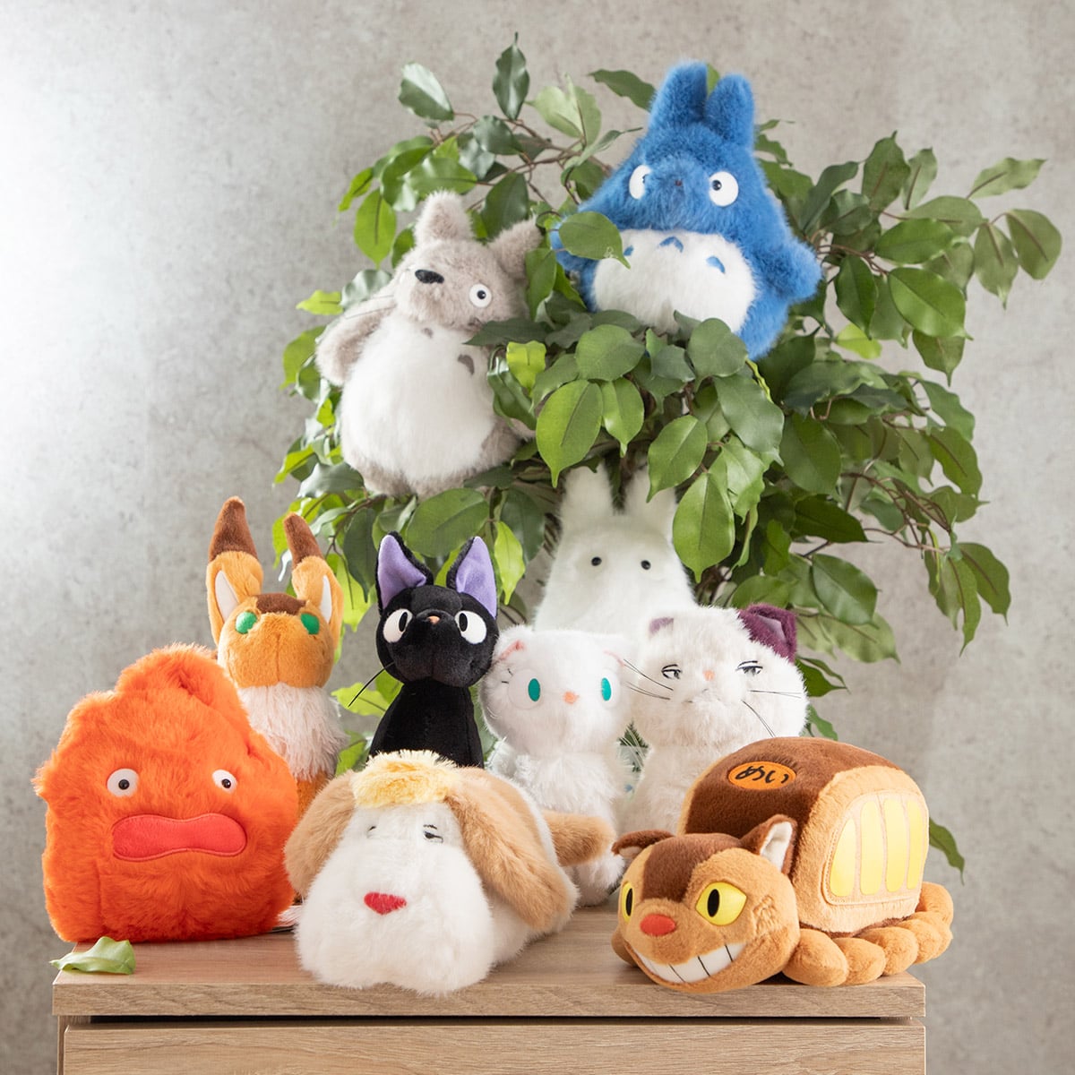 Studio Ghibli - Komorebi Plush Collection (6 Types) - Totoro - official view 7